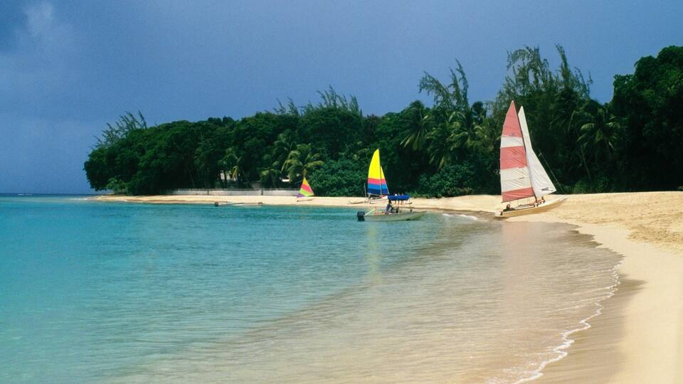 A beach with clear turquoise water, a sandy shore, and a row of colorful sailboats.