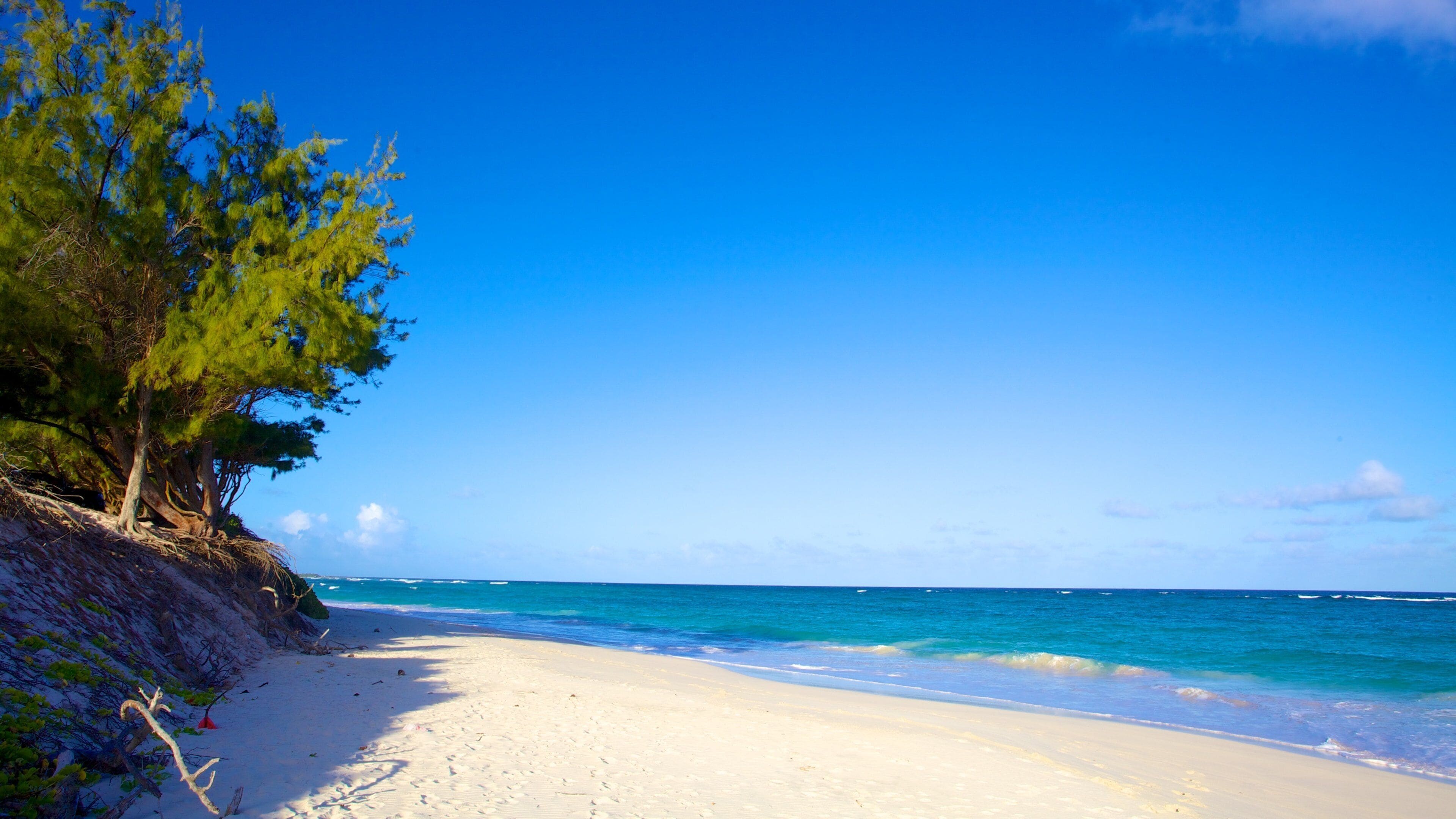 Silver Sands Beach showing landscape views and a beach