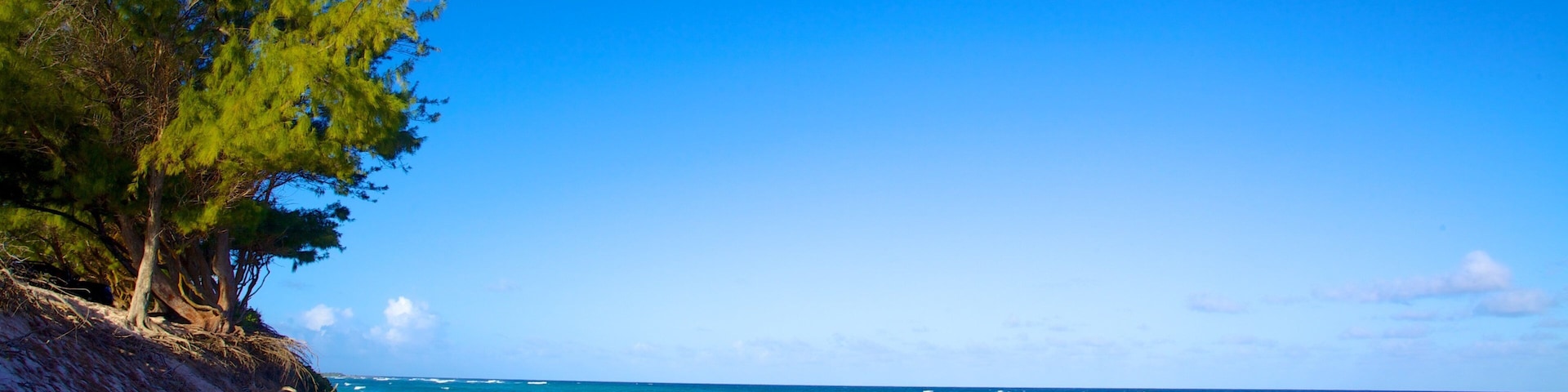 Silver Sands Beach which includes landscape views and a beach