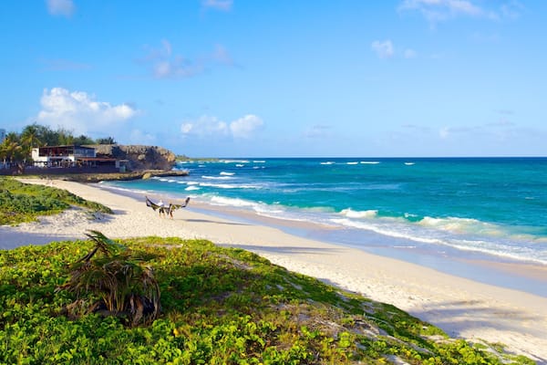 Silver Sands Beach das einen Küstenort, Strand und Landschaften