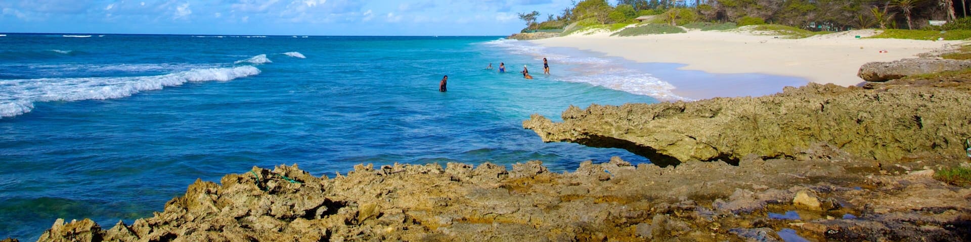 Silver Sands Beach showing a beach, swimming and landscape views