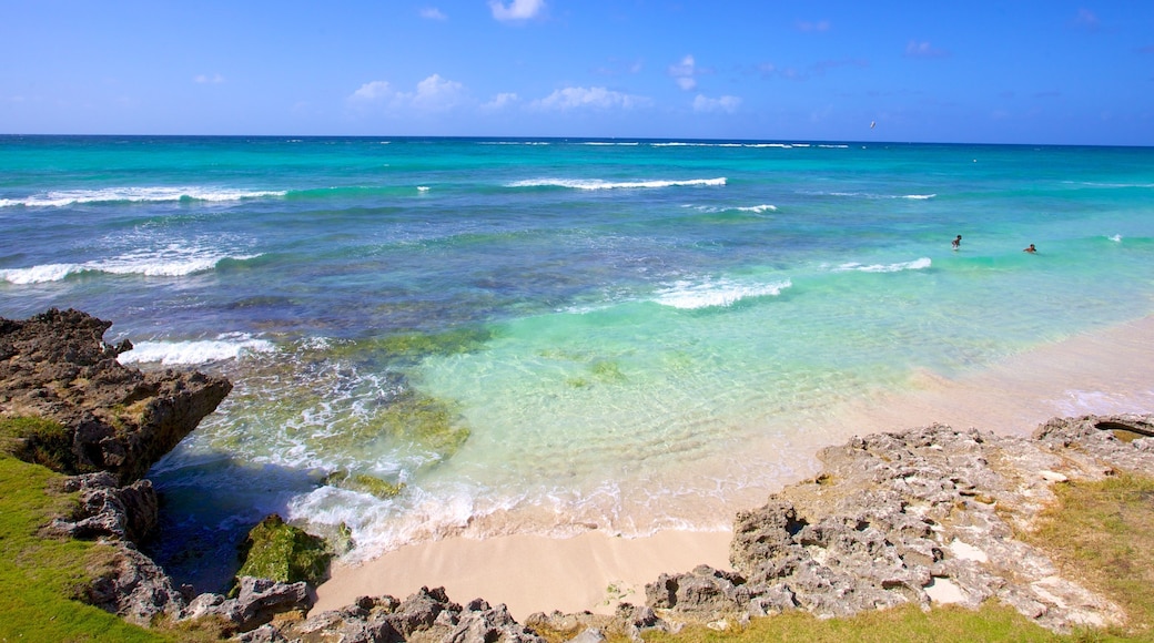 Silver Sands Beach showing rugged coastline, landscape views and a sandy beach