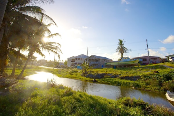Silver Sands Beach featuring a river or creek and tropical scenes