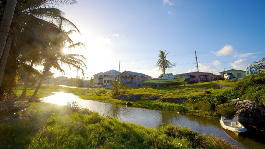 Playa Silver Sands que incluye un río o arroyo y escenas tropicales