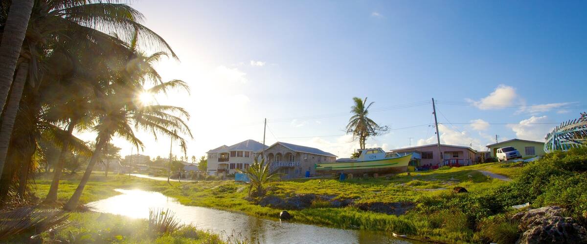 A tropical landscape with a river, palm trees, and houses.