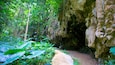 Welchman Hall Gully
