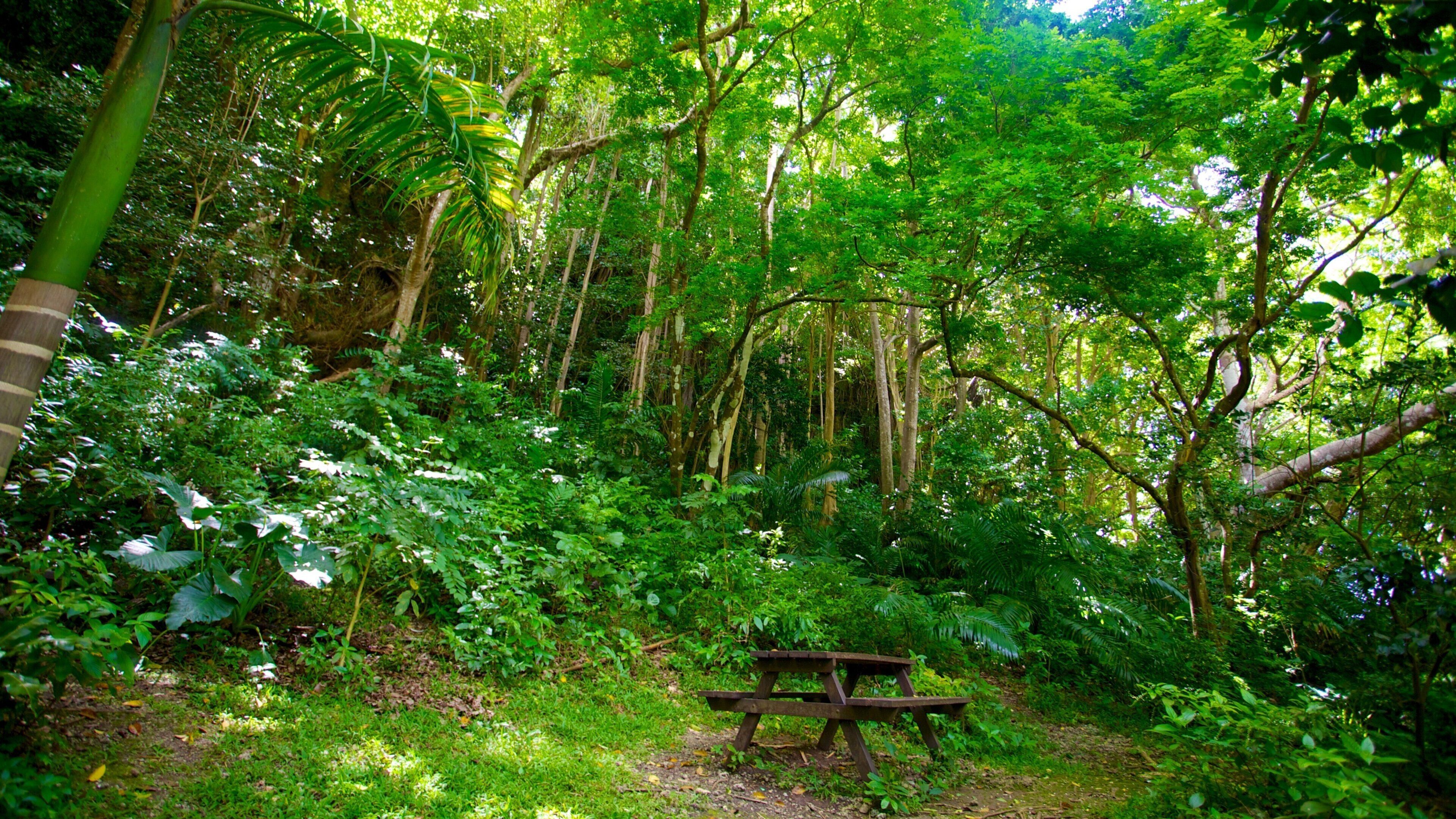 Ravine de Welchman Hall