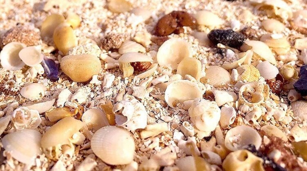 The only reason I knew there was a beach was because google map said so. The sand had an unique pink hue at this hidden beach. #LifeAtExpedia #pinkSand #shells