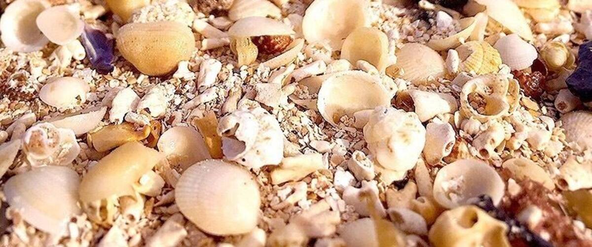 The only reason I knew there was a beach was because google map said so. The sand had an unique pink hue at this hidden beach. #LifeAtExpedia #pinkSand #shells