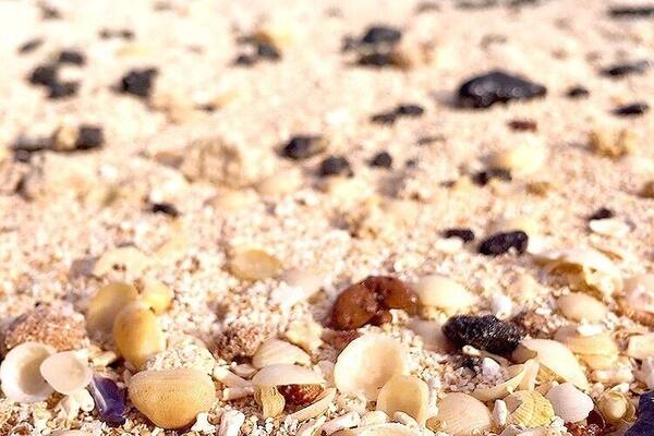 The only reason I knew there was a beach was because google map said so. The sand had an unique pink hue at this hidden beach. #LifeAtExpedia #pinkSand #shells