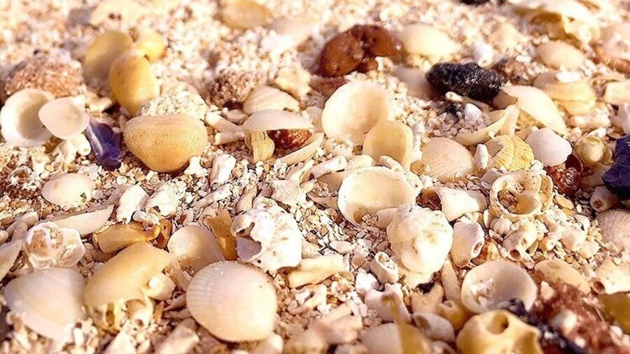 The only reason I knew there was a beach was because google map said so. The sand had an unique pink hue at this hidden beach. #LifeAtExpedia #pinkSand #shells