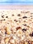 The only reason I knew there was a beach was because google map said so. The sand had an unique pink hue at this hidden beach. #LifeAtExpedia #pinkSand #shells