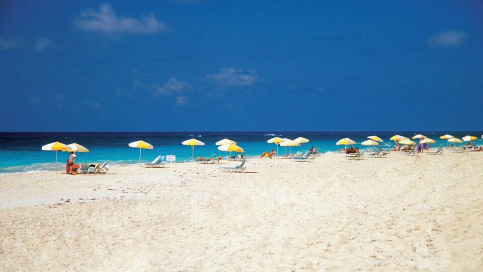 A beach with rows of sun umbrellas and lounge chairs.