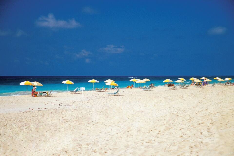A beach with rows of sun umbrellas and lounge chairs.