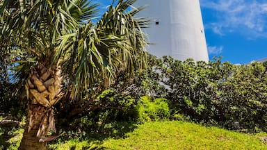 Um farol alto e branco com varanda, cercado por vegetação exuberante e palmeiras, contra um céu azul claro.