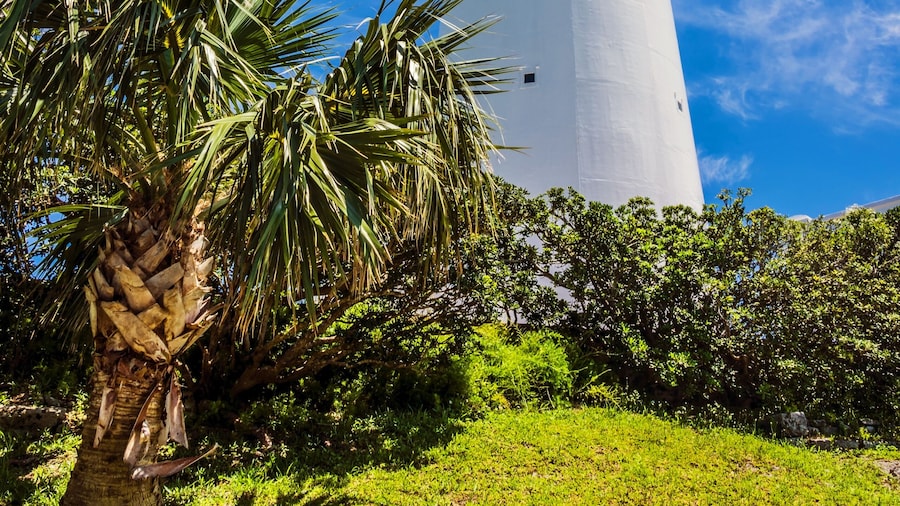 Gibbs Hill Lighthouse View