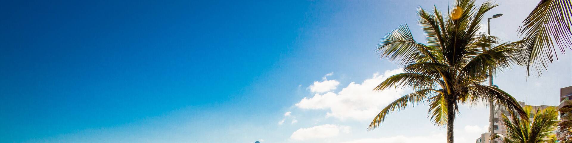 Palms and Two Brothers Mountain on Ipanema beach, Rio de Janeiro
