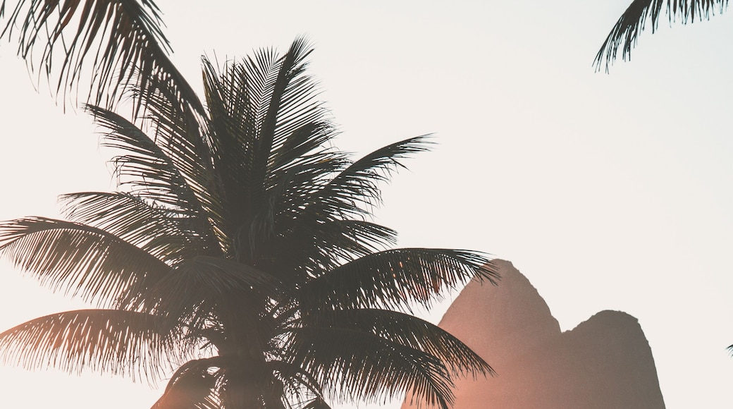 Beautiful sunset in Rio de Janeiro Leblon Dois Irmaos Mountain