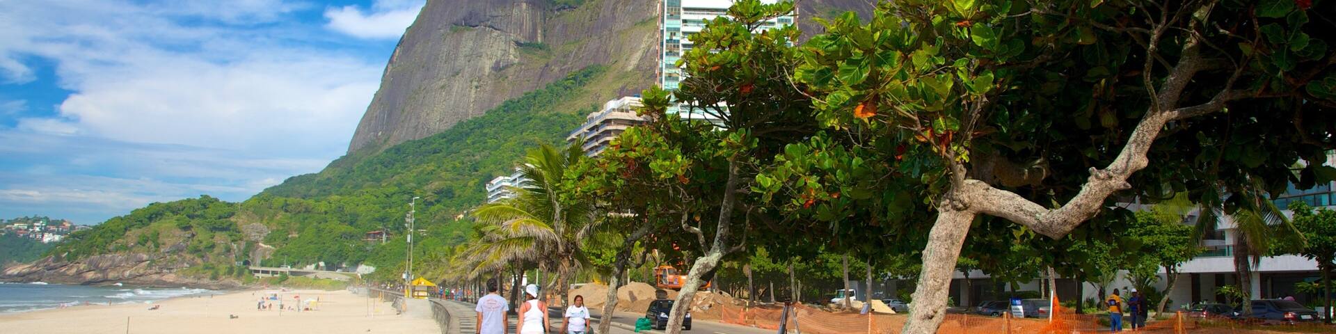A beach with a large mountain in the background.