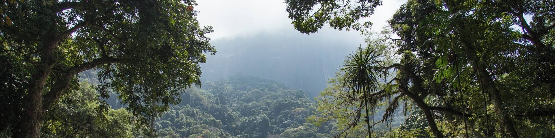 RiodeJaneiro_ParqueHenriqueLage_6061551_1