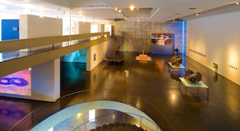 Museo de Arte Moderno que incluye vista interna y arte