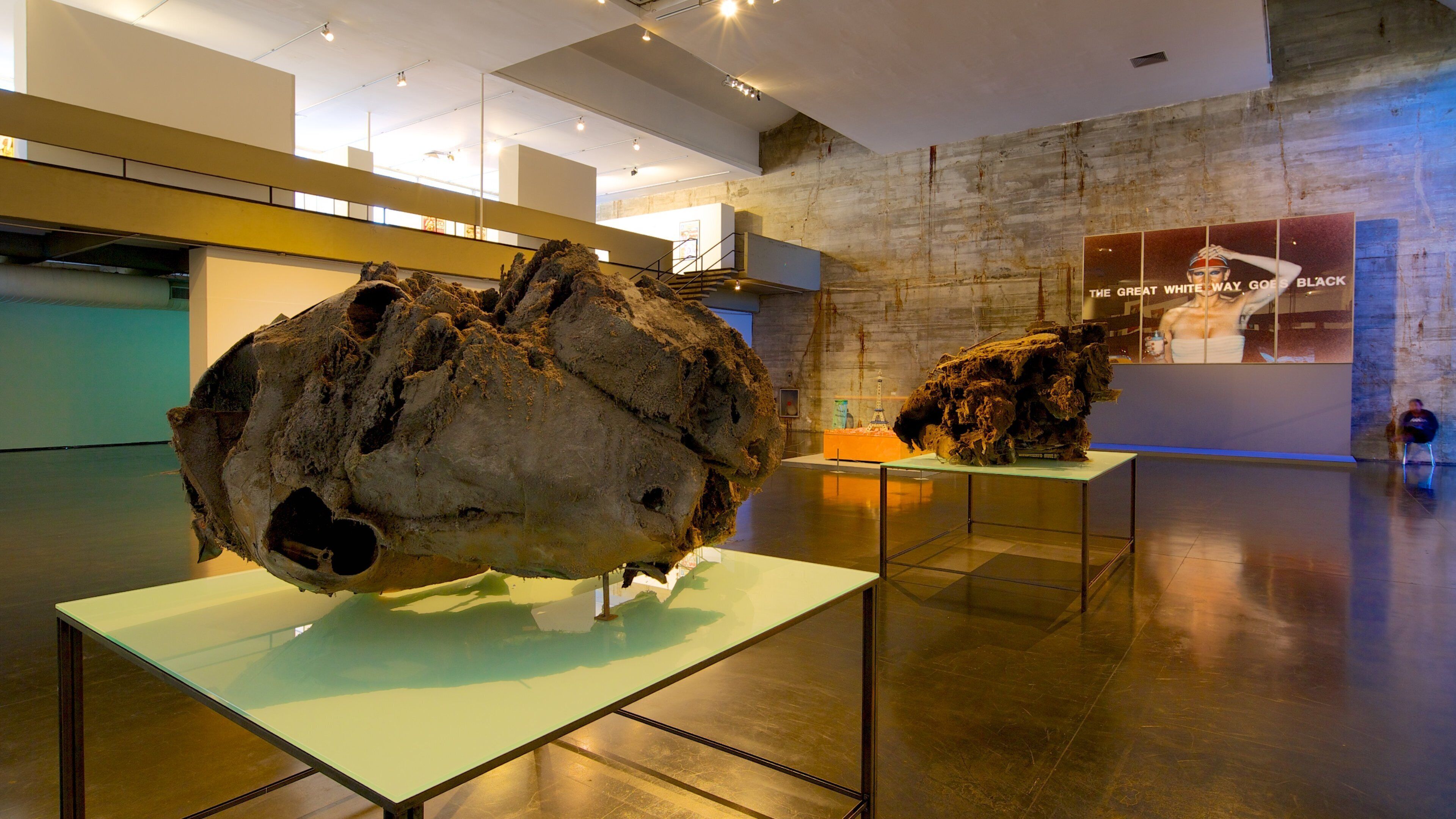 現代藝術博物館 其中包括 內部景觀