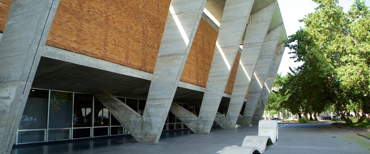 Museu de Arte Moderna welches beinhaltet Straßenszenen