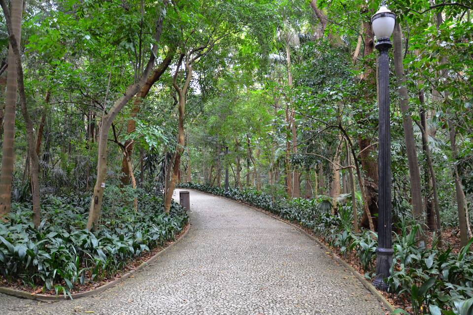 Un sendero pavimentado atraviesa un bosque frondoso con árboles altos y vegetación densa.
