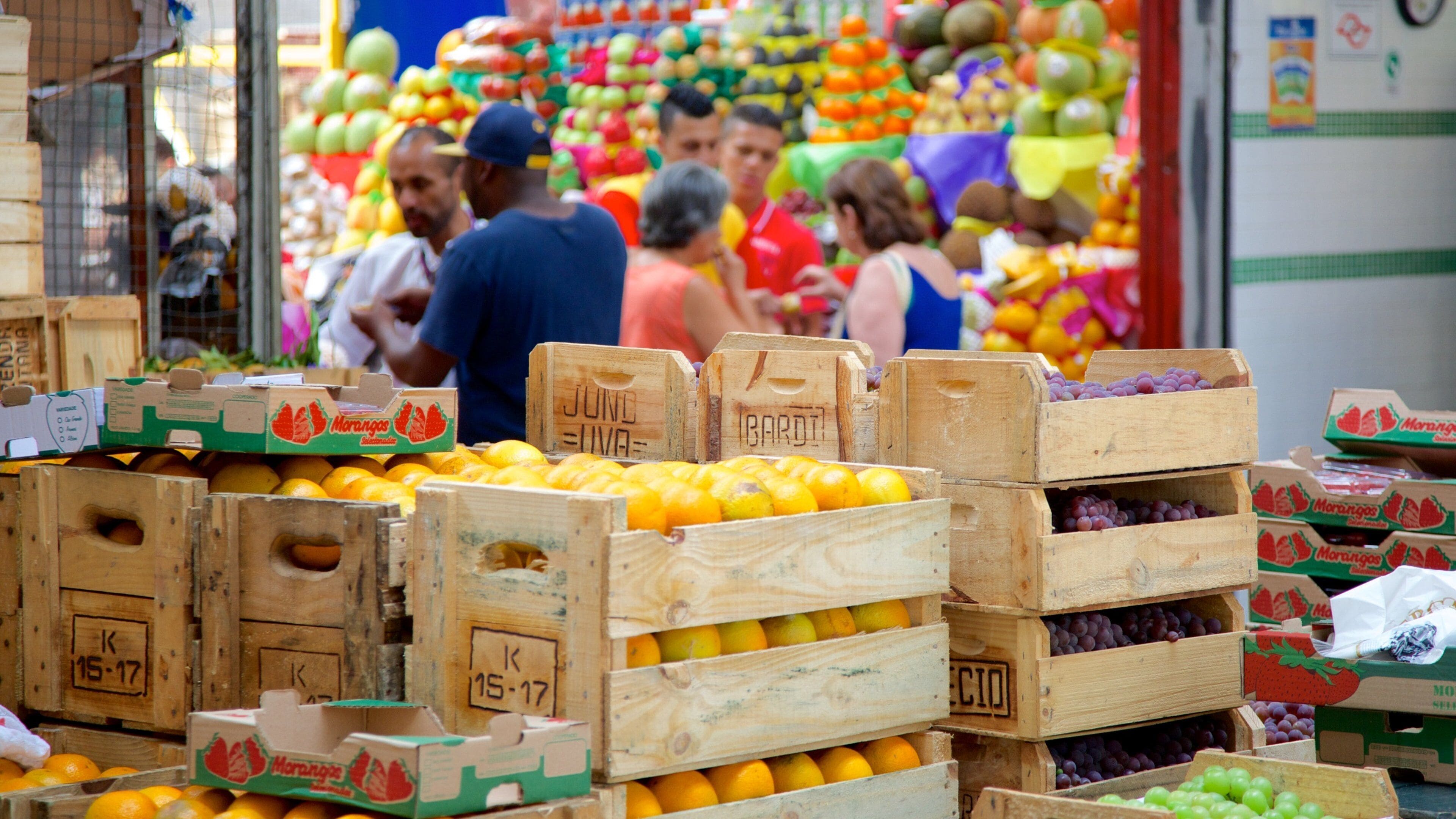 Mercado Municipal which includes markets and food