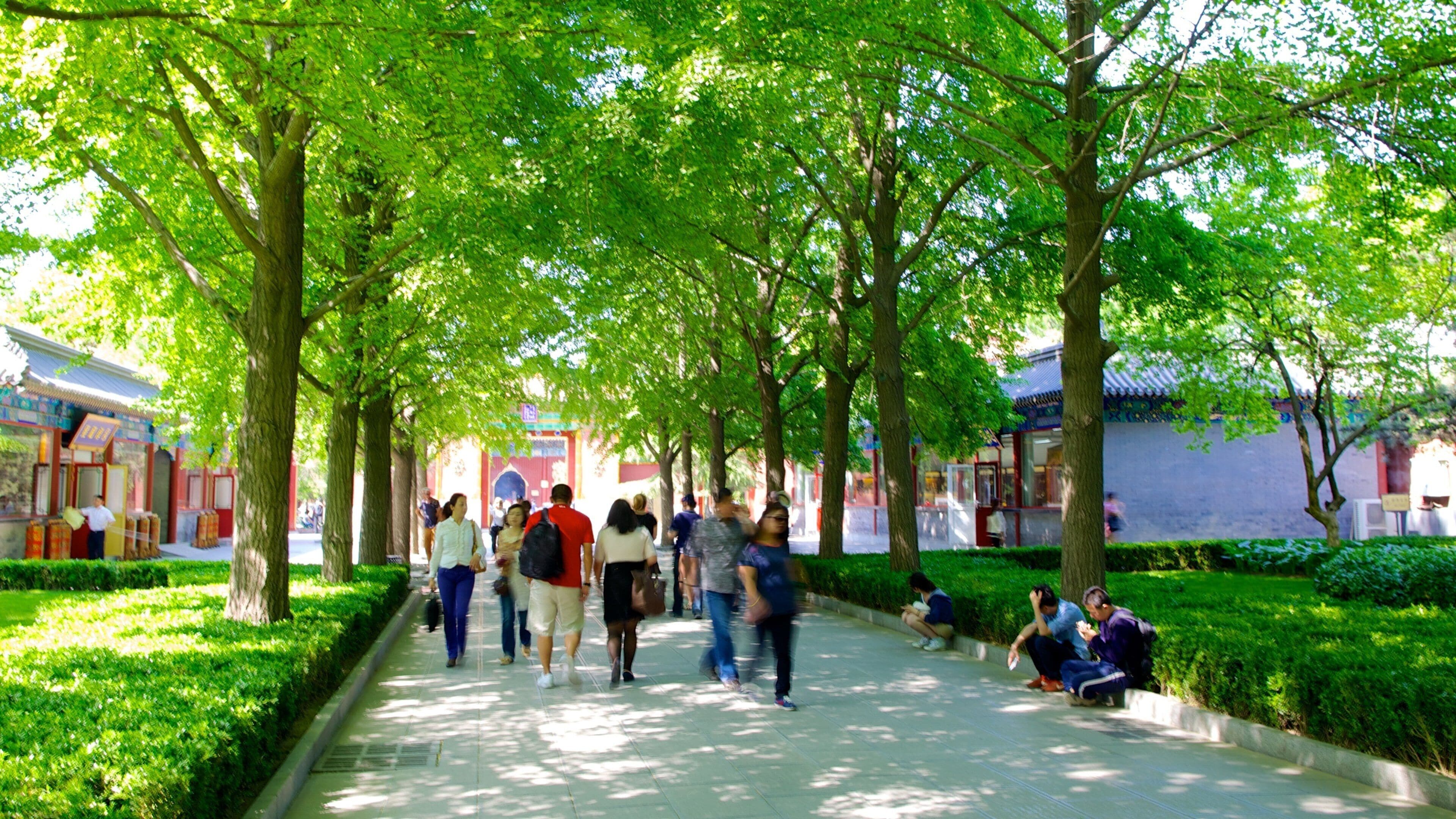 Lamatemplet presenterar en park såväl som en stor grupp av människor