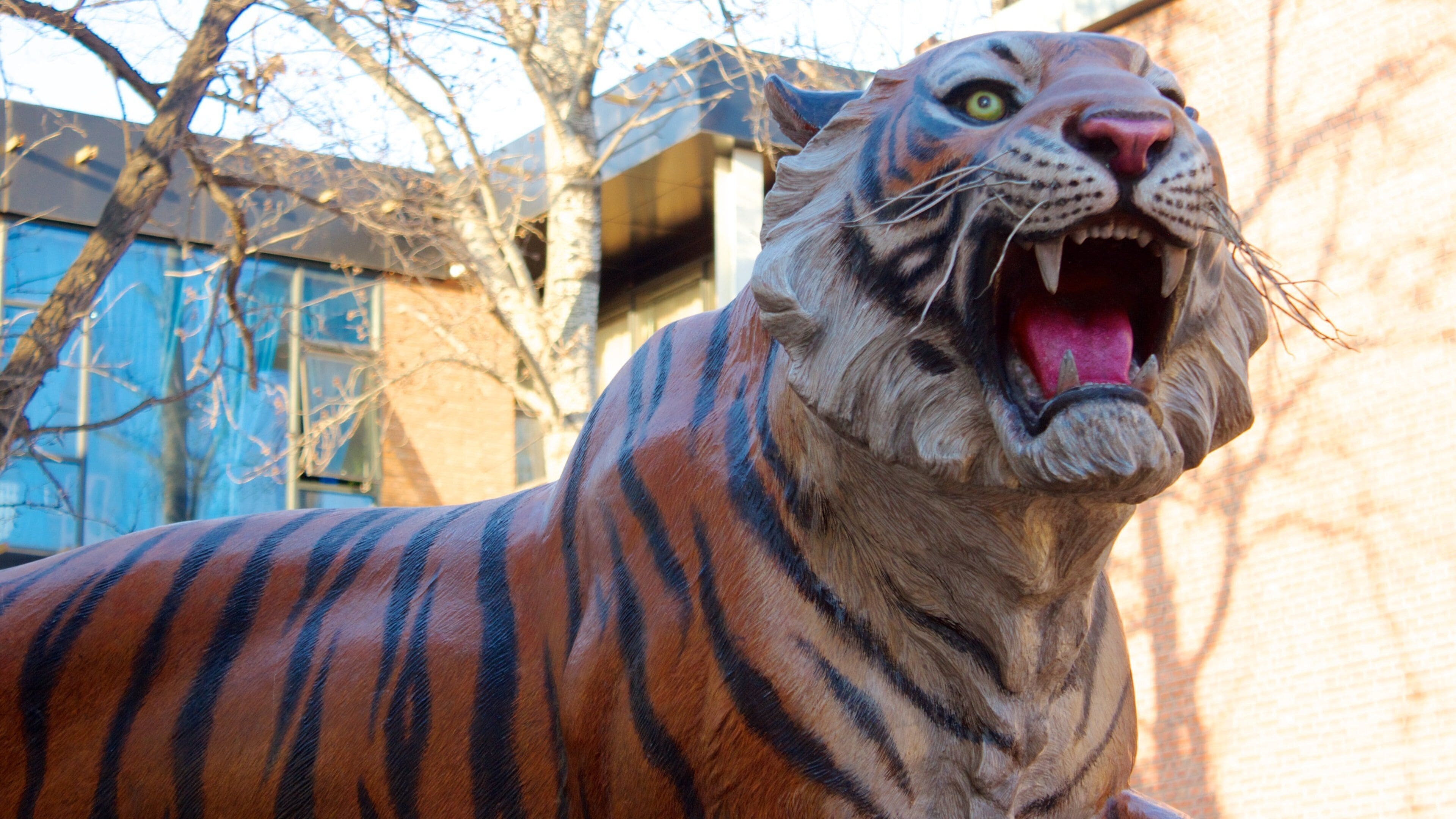 798 Space og byder på udendørs kunst