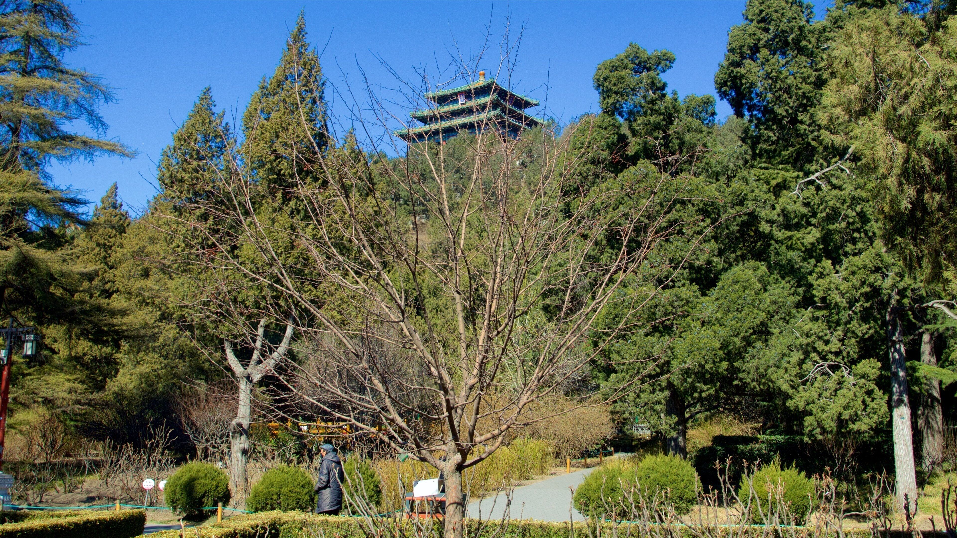 Jingshanin puisto