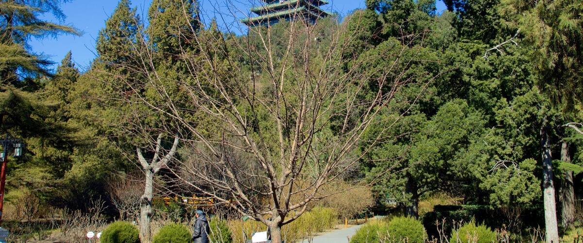 景山公园
