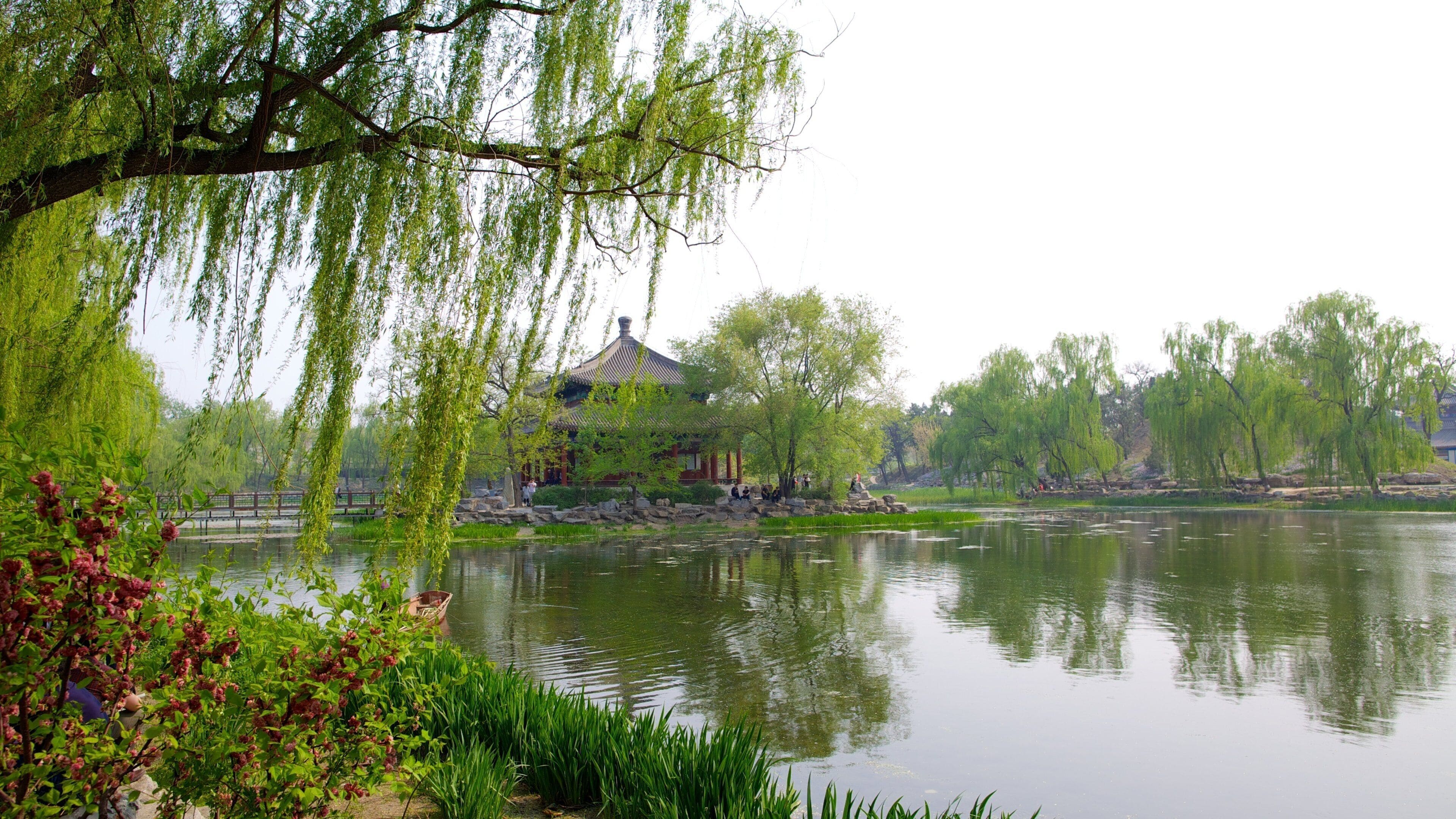Old Summer Palace showing chateau or palace, a park and a pond