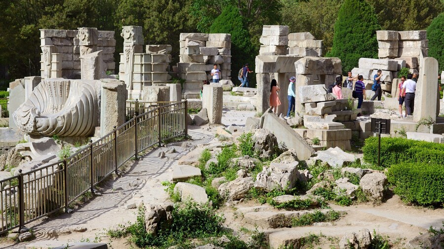 Old Summer Palace which includes building ruins