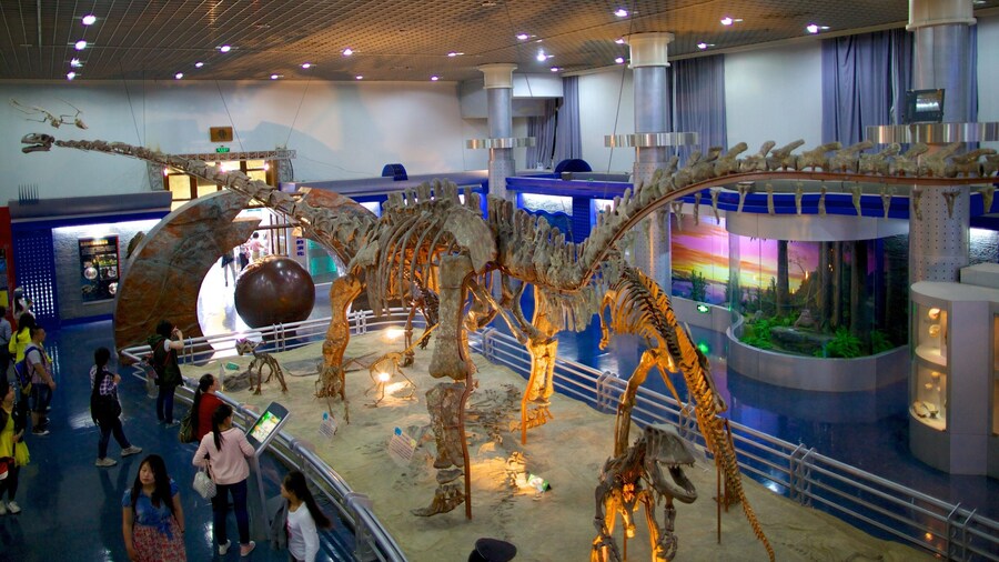 Natural History Museum which includes interior views