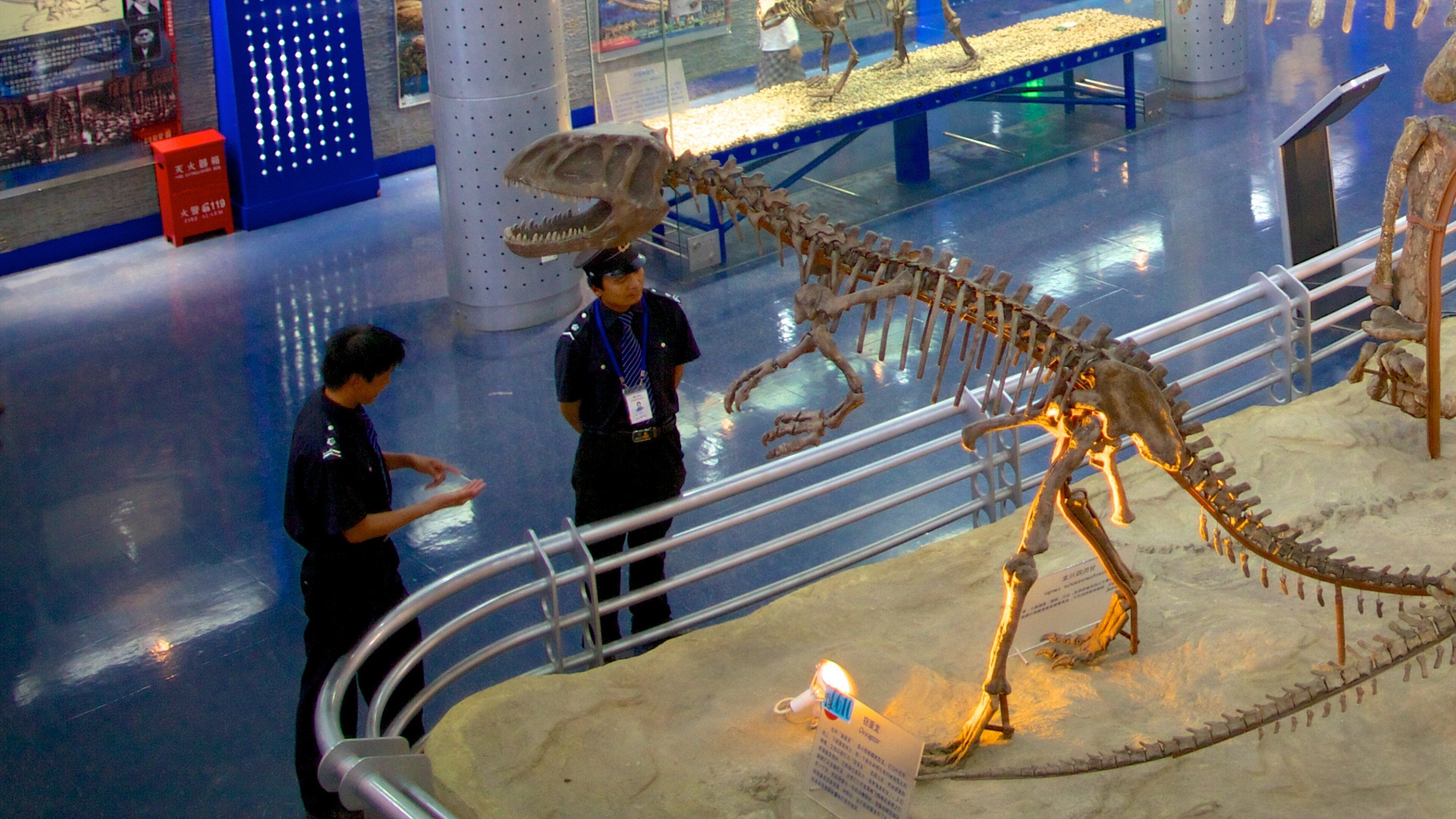 Museo de Historia Natural mostrando vistas de interior