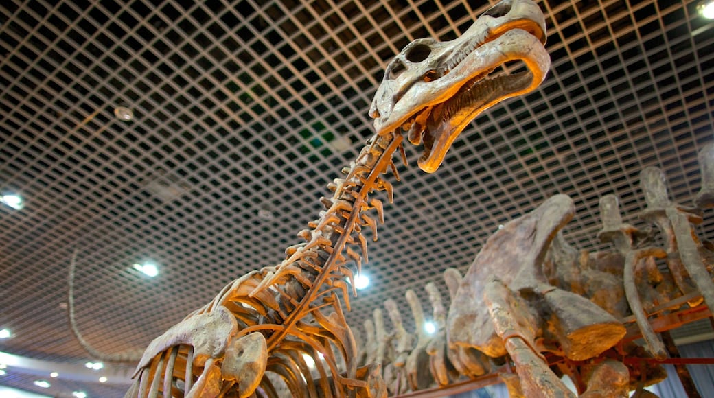 自然博物館 其中包括 內部景觀