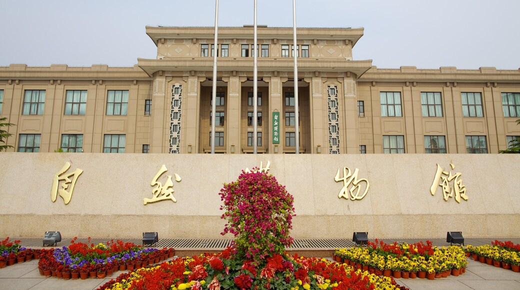 Museo de Historia Natural que incluye señalización, arquitectura patrimonial y flores