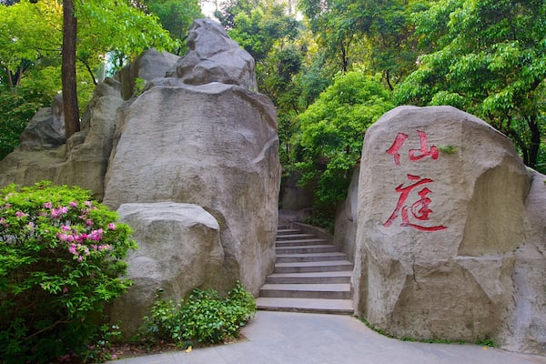 A stone staircase leading up to a large rock with Chinese characters, surrounded by lush greenery.