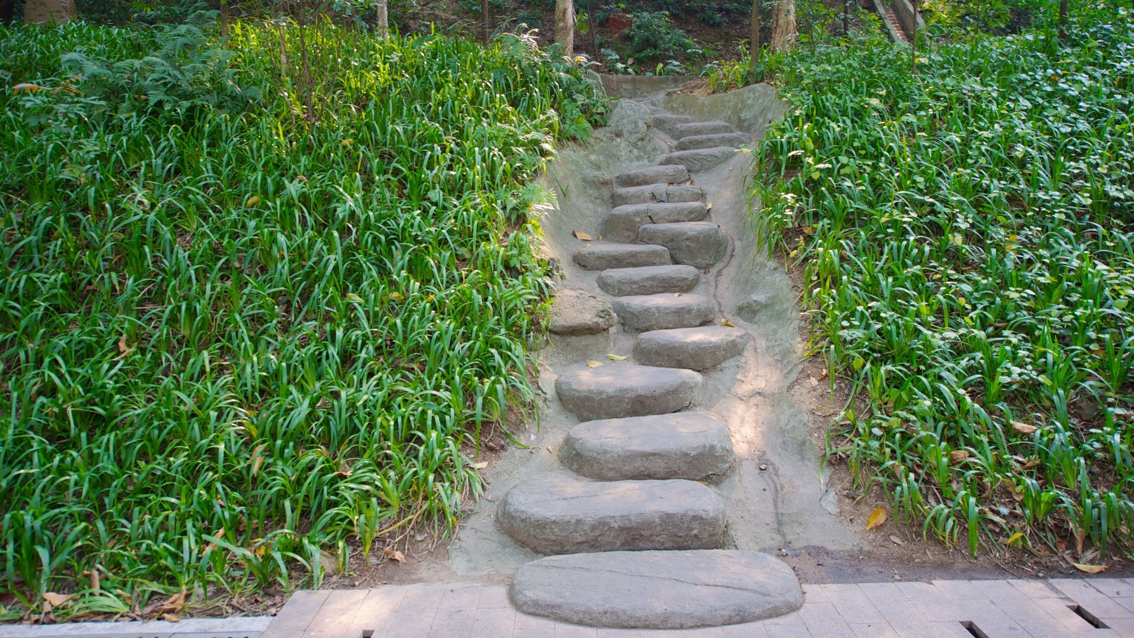 Yuexiu Park featuring a park