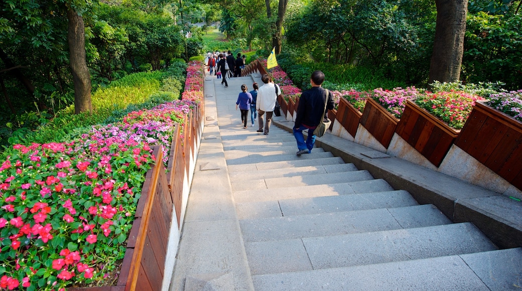 Yuexiu Park showing a park and flowers