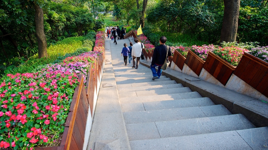 Yuexiu Park featuring flowers and a park