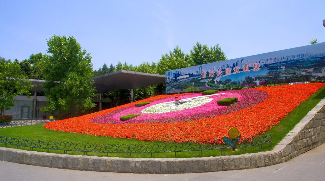 世紀公園 呈现出 花卉 和 花園