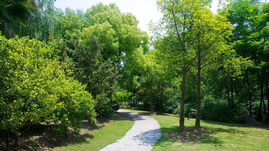Century Park bevat een park