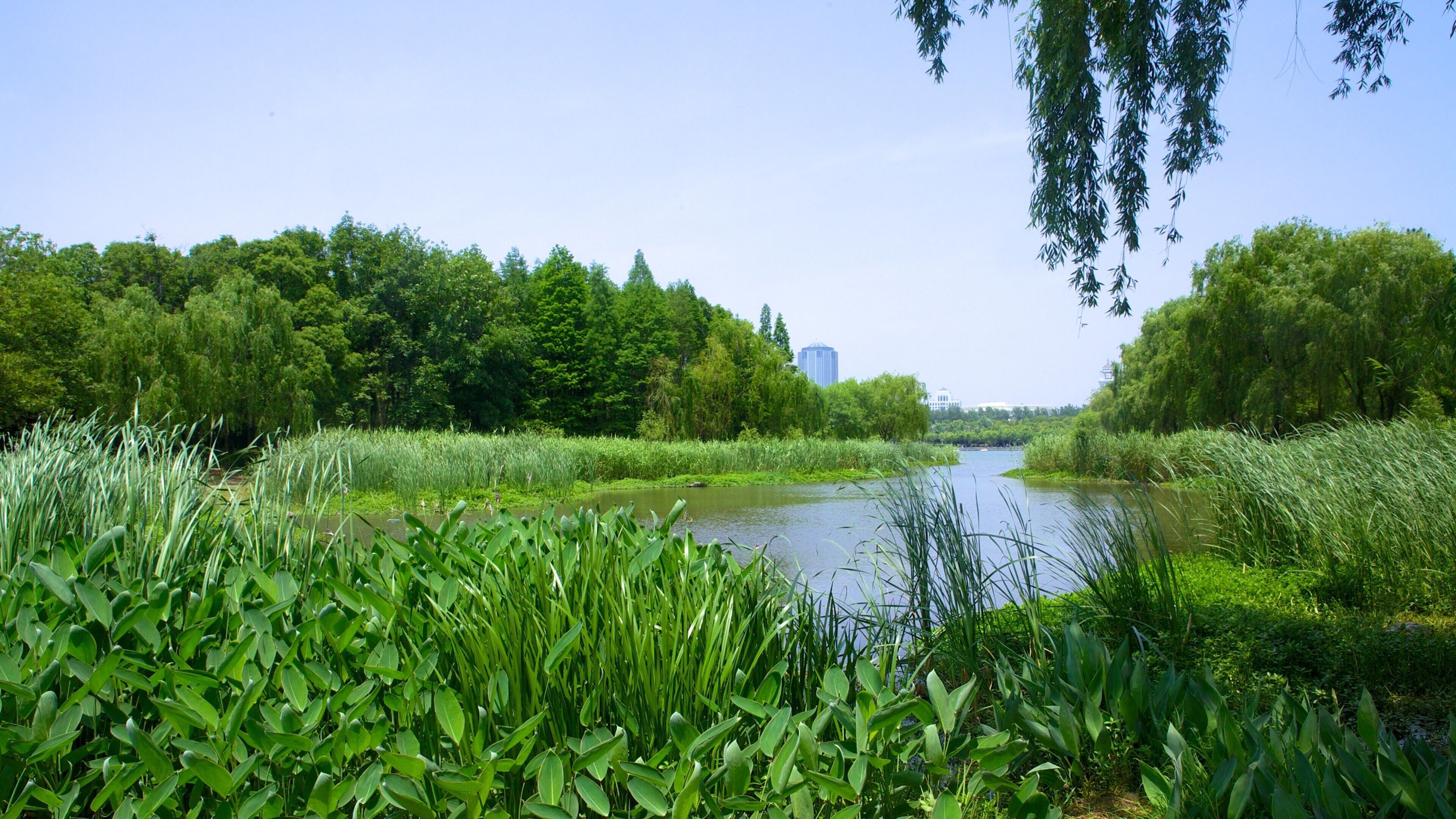 Century Park showing a park and a river or creek
