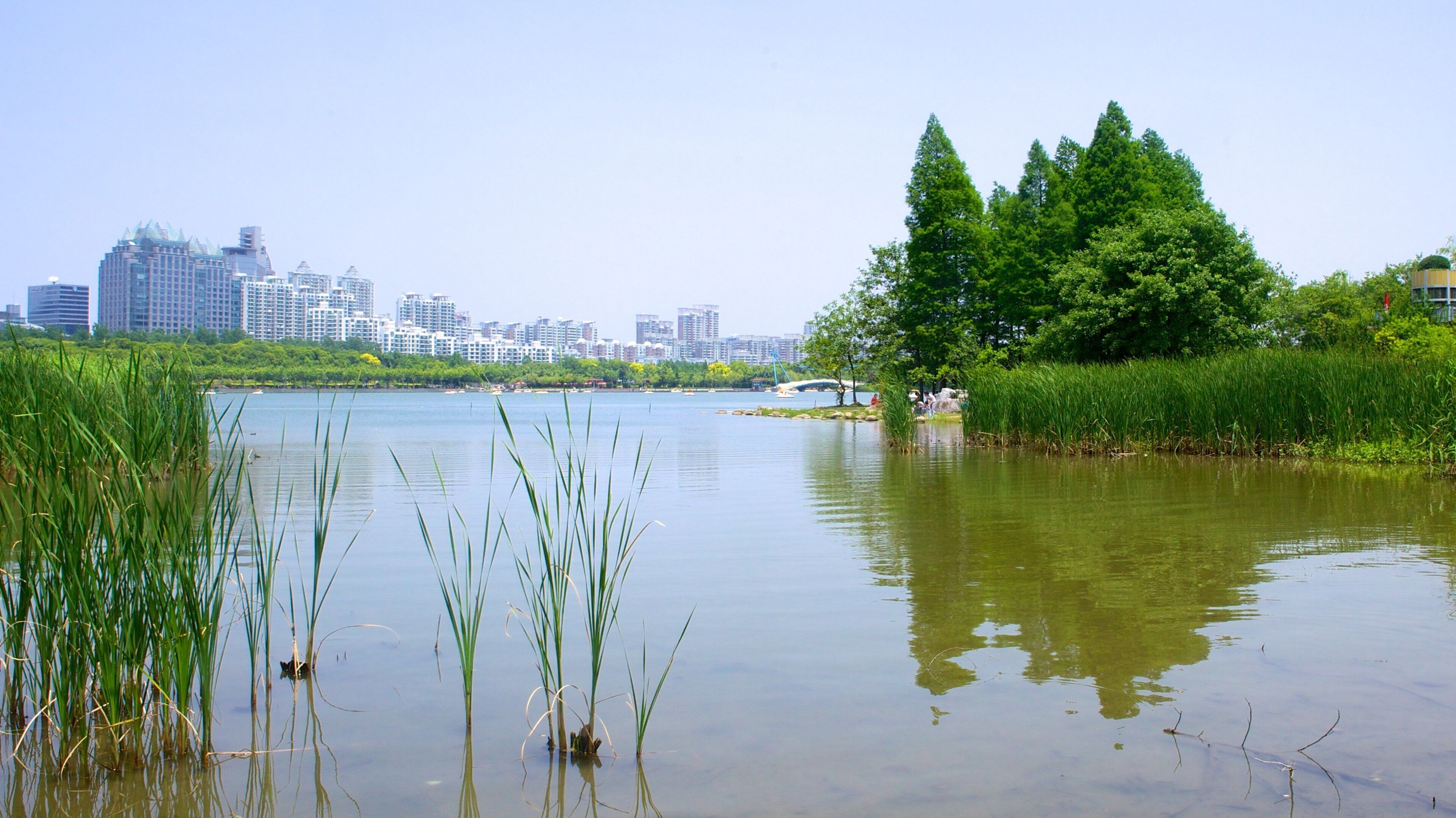 Century Park which includes a river or creek