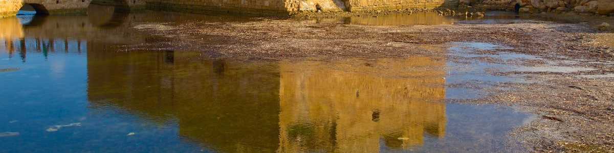 Eine historische Burg aus Stein mit einem Burggraben und einer Brücke.