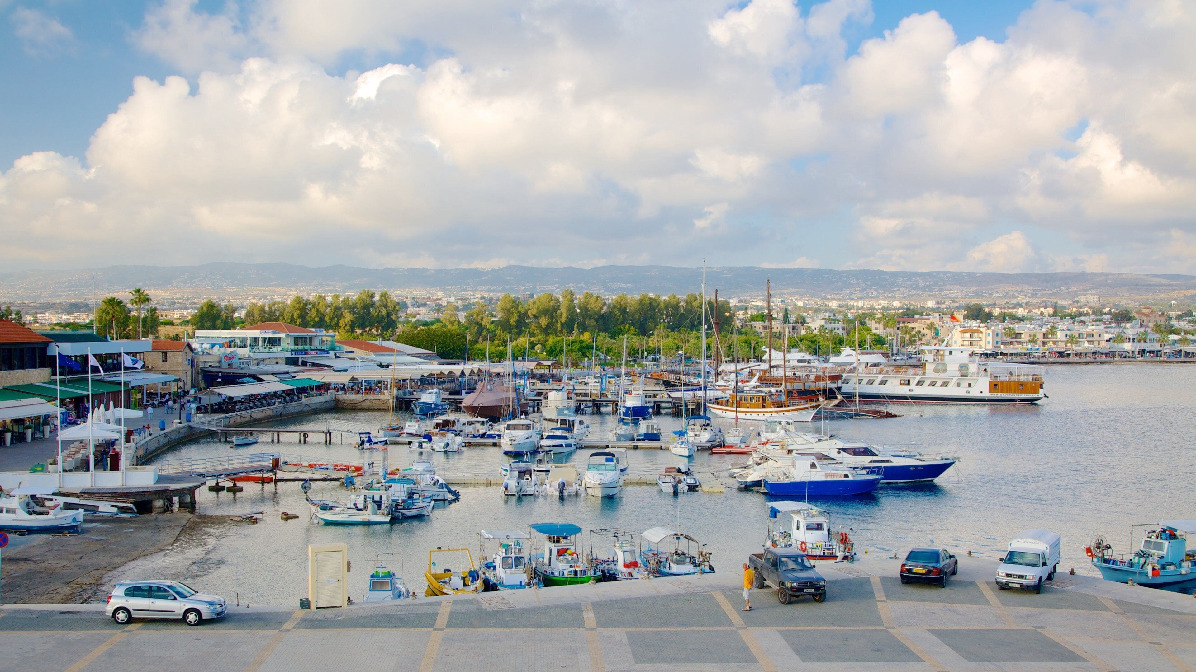 Paphos Harbour showing a bay or harbor