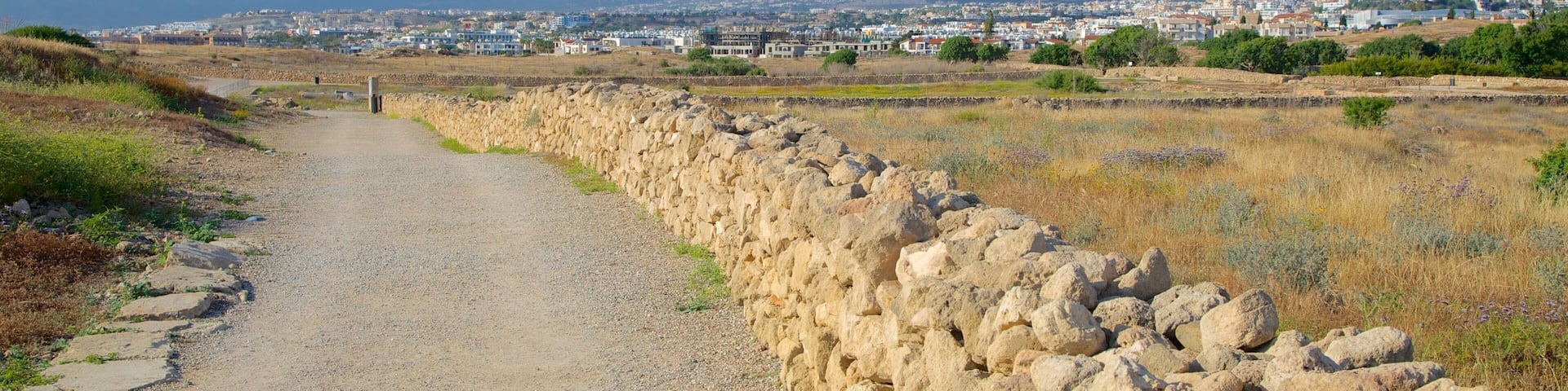 Paphos Archaeological Park